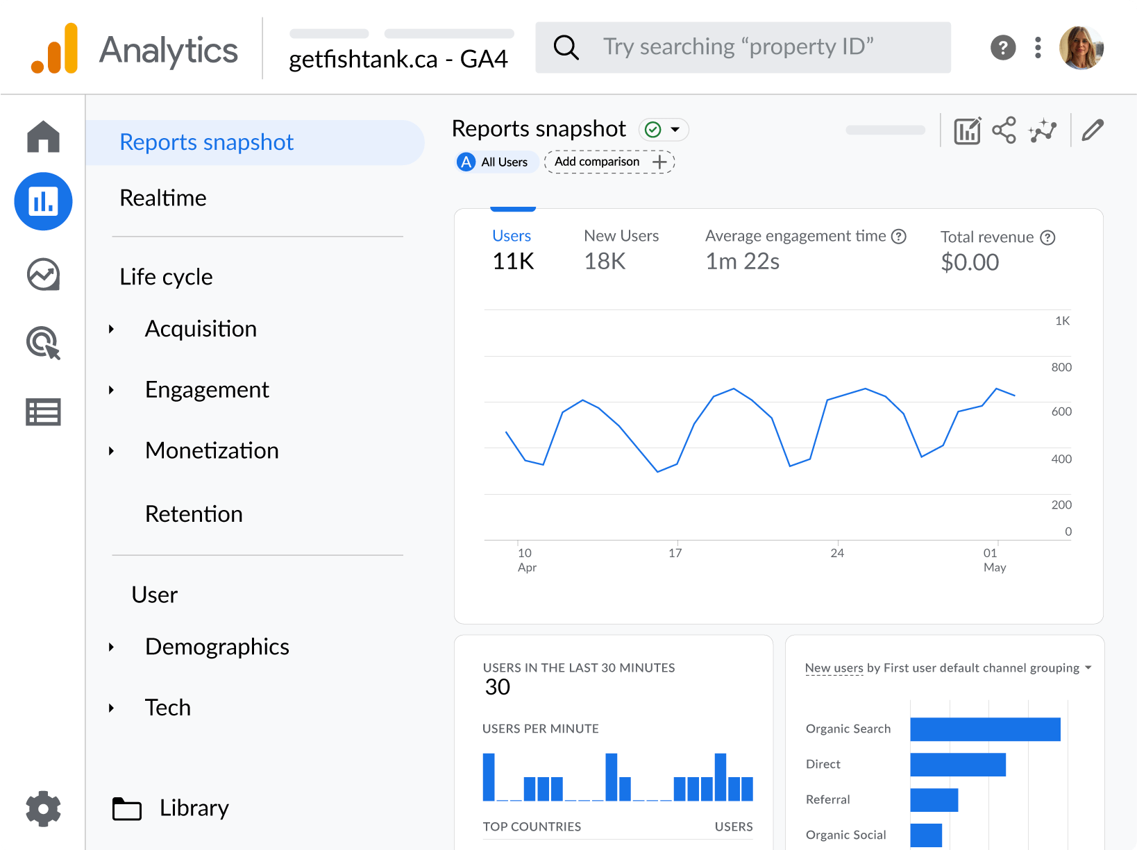 Google Analytics Consulting